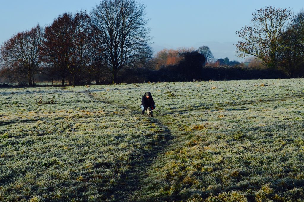 Dog Walk by the Wye Visit Ross On Wye