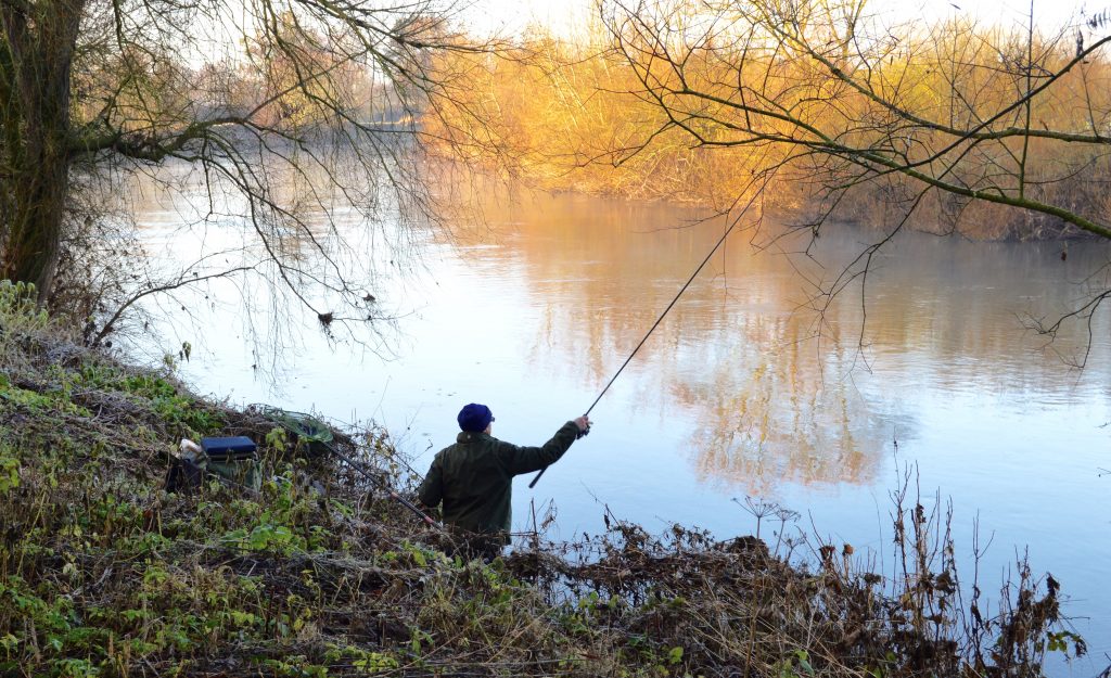 Dog Walk by the Wye Visit Ross On Wye
