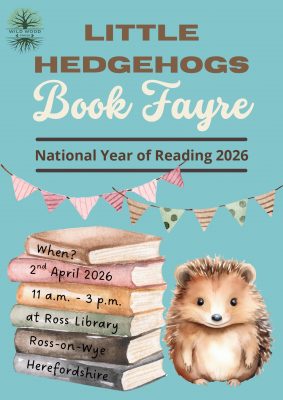 Blue poster with illistration of books, bunting and a hedgehog